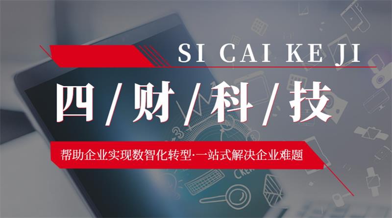成都四財科技,助力企業實現數智化轉型